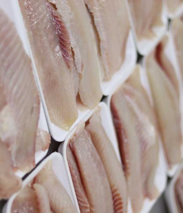 1750863862685c0ff64a354_500_500