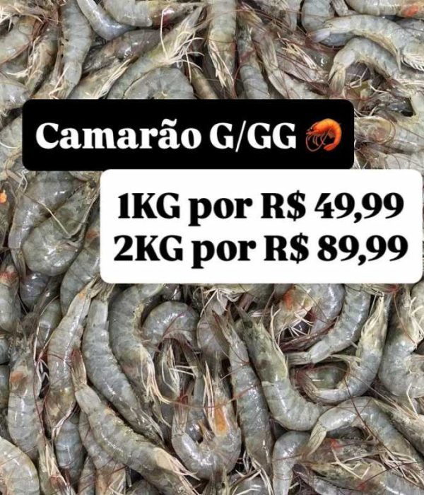 1750866269685c195ddbcc9_500_500