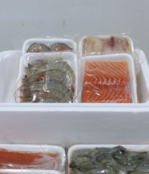 Design sem nome (19)