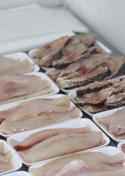 Design sem nome (21)