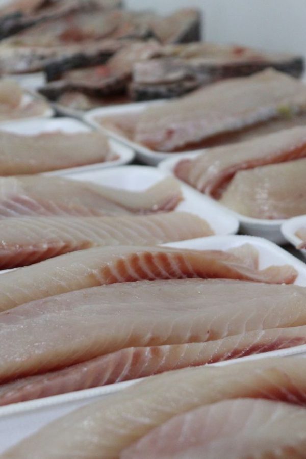 Design sem nome (23)